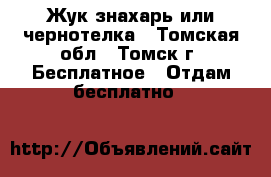 Жук знахарь или чернотелка - Томская обл., Томск г. Бесплатное » Отдам бесплатно   